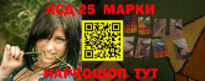 шишки Аргун