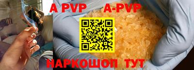 шишки Аргун
