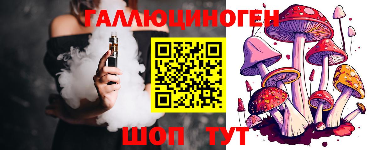 Галлюциногенные грибы Psilocybe Вольск